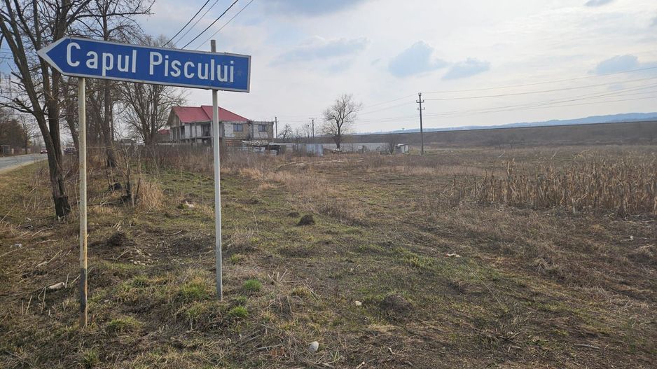 SUPEROFERTA !!! Teren 8000 mp,  Merisani, langa DN si Autostrada - Poză 4