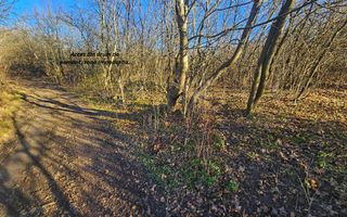 Teren intravilan 1.000 mp – Seciu, 2 deschideri, Priveliște panoramica - Poză 13