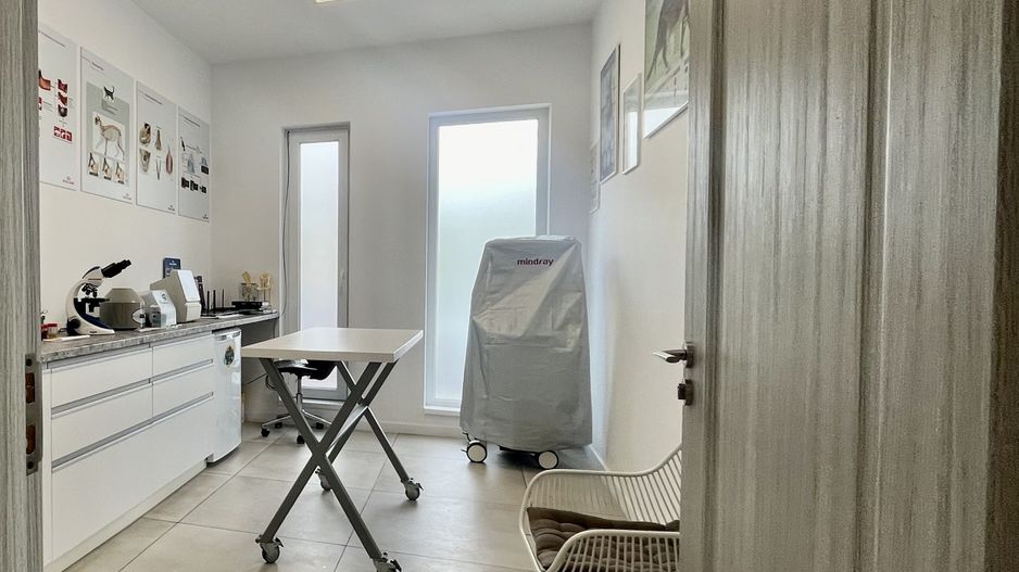 Spatiu comercial, amenajat si compartimentat, in Dumbrăvița - Poză 4