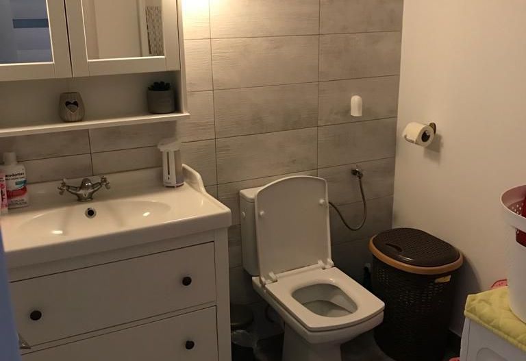 Apartament 3 camere Bucurestii Noi | 2 Cocoși - Poză 16