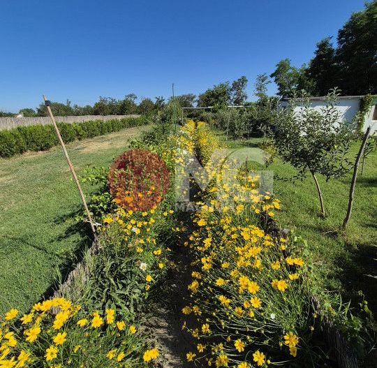 De vanzare complex turistic - Poză 20