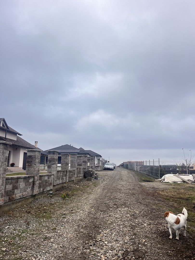 Teren De Vanzare 800mp I Moara, Suceava I Preț: 45.000 Euro - Poză 7