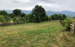 Teren intravilan | 1829mp | Cârțișoara - Poză 5