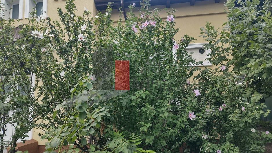 Închiriere casă Șoseaua Progresului - Poză 4