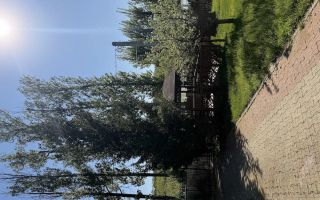 Casă de vânzare, 400 mp, pe malul Lacului Ezăreni, Iași - Poză 8