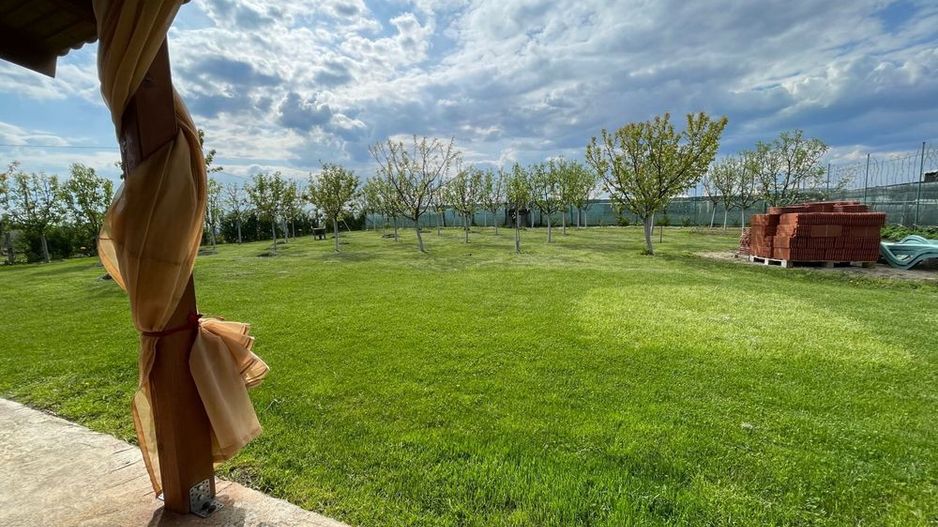 Cabana de lemn, 2 camere, teren 850 mp, livada, Oarda, Alba Iulia - Poză 8