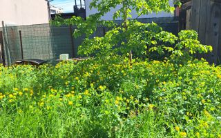 Casă cu 2 Camere, Gheorgheni – Aproape de  Zona Iulius Mall - Poză 7