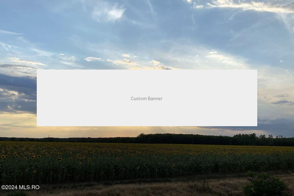 Tamasi, langa padure, 12.824 mp, deschidere 45 ml, teren cu potential - Poză 13