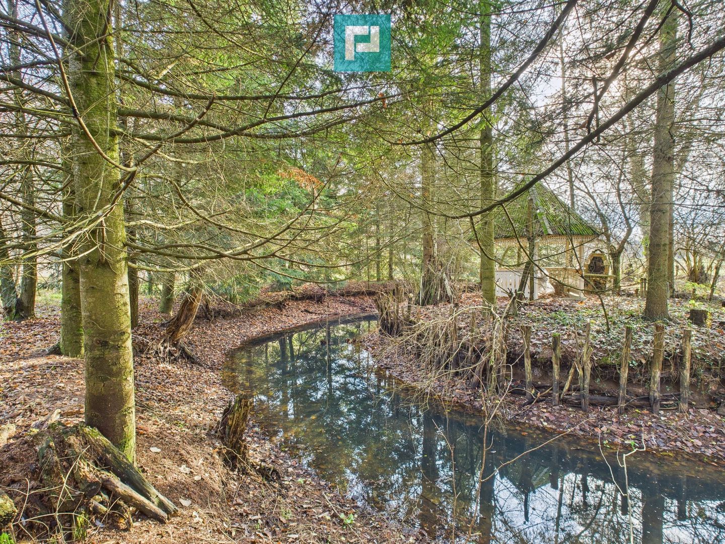 Casă P+E+M cu teren 8163 mp – Roşia Nouă (Petriş) - Poză 12