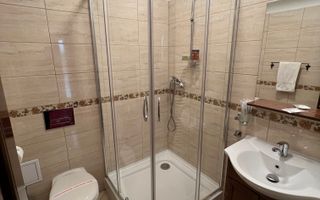 Vila de vanzare in zona Centrala/Orasul de jos - Poză 36