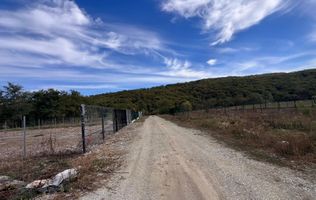 Teren langa ansamblul Verdi- Talmaciu- Posibilitate Intravilan