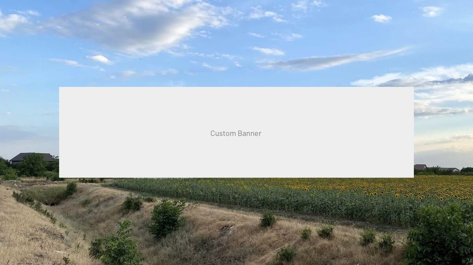 Tamasi, langa padure, 12.824 mp, deschidere 45 ml, teren cu potential - Poză 2