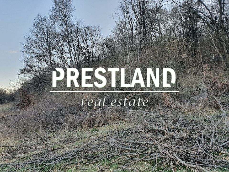 Teren 46.300 mp-zona Gușterița!! - Poză 8