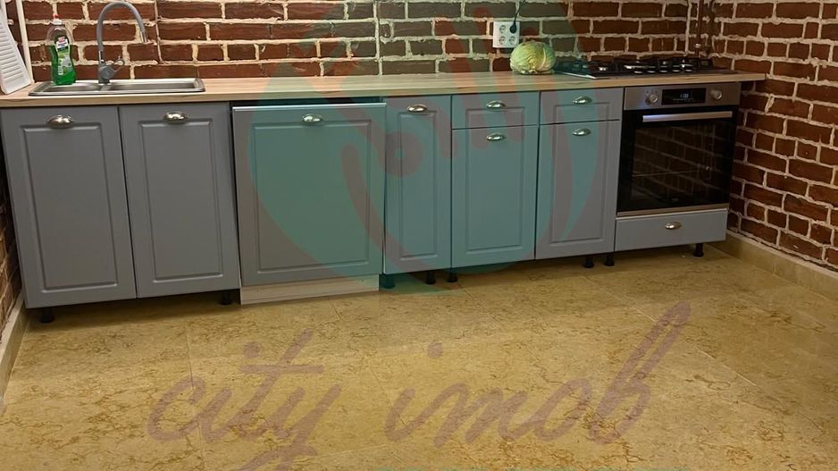 Vila renovata  - PARCUL CAROL - Poză 18