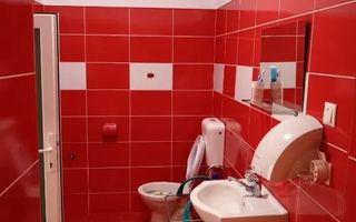Casă 5 camere, 3 bai,2 bucătării, 200 mp utili, 370 mp teren - Poză 7