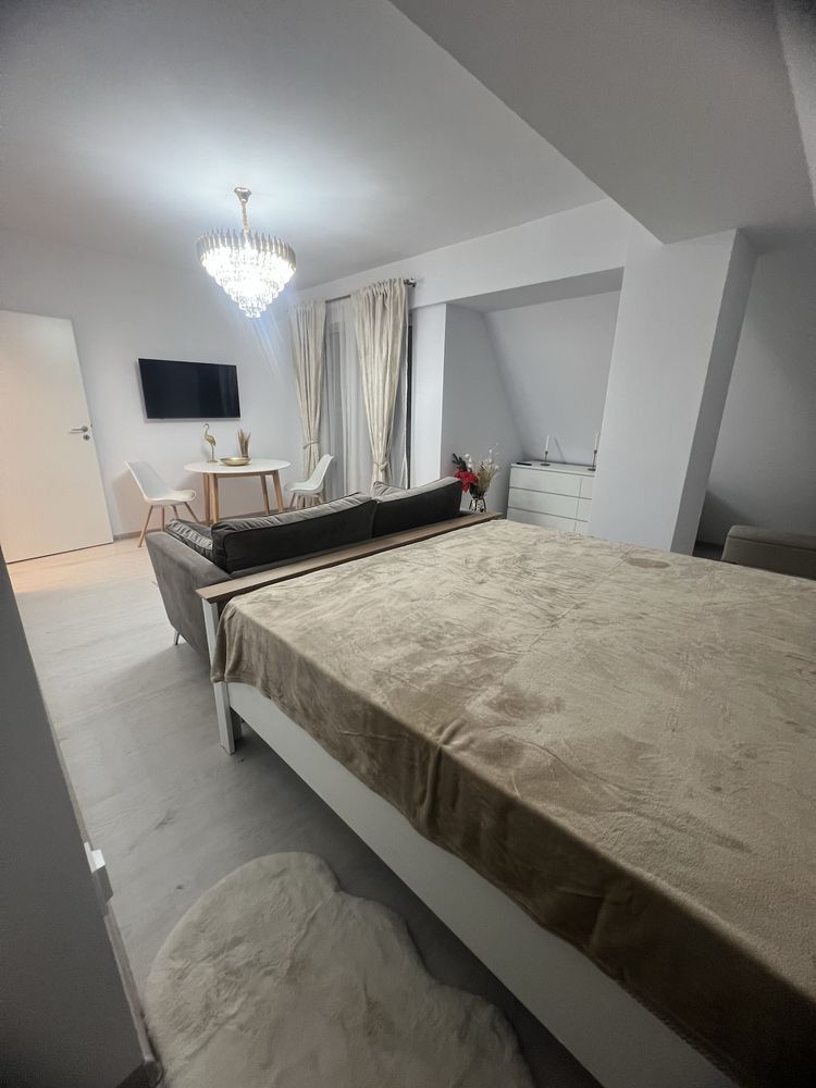 Studio de inchiriat |cartier rezidential Etalon Residence - Poză 2