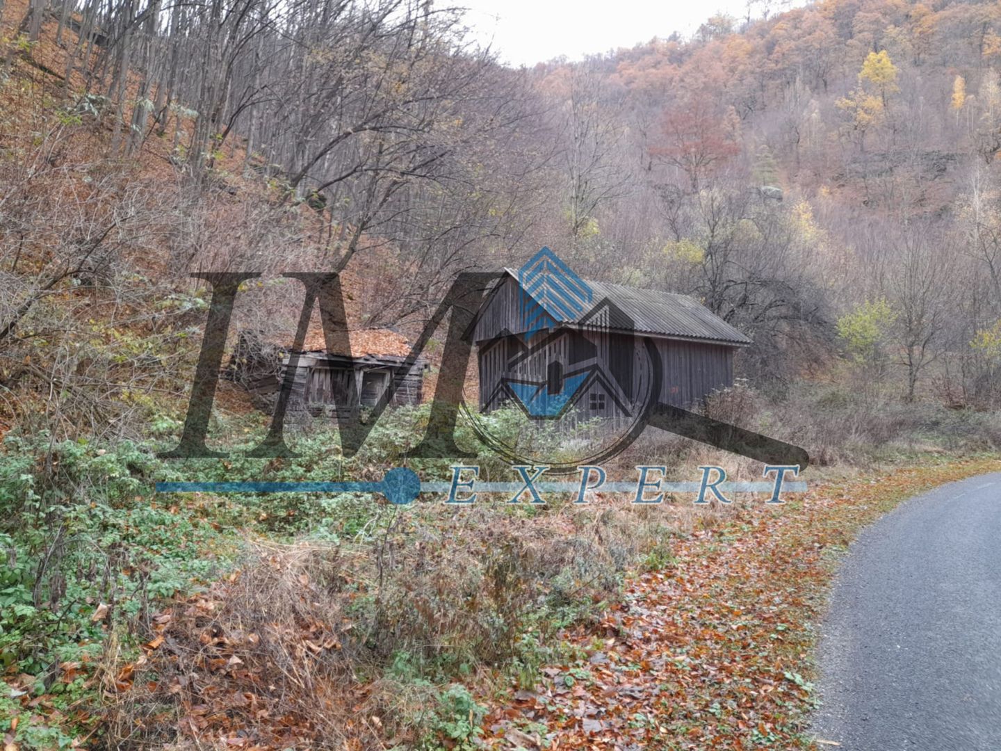 Teren extravilan direct la șoseaua TRANSALPINA - Poză 1