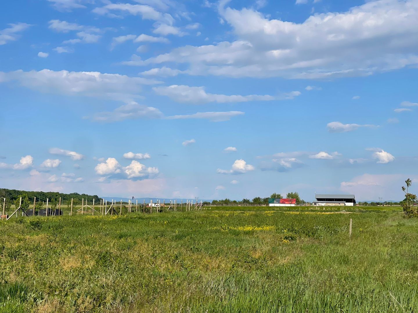 Parcele teren Nojorid 600 mp. 28 500 E neg. Comision 0 - Poză 5