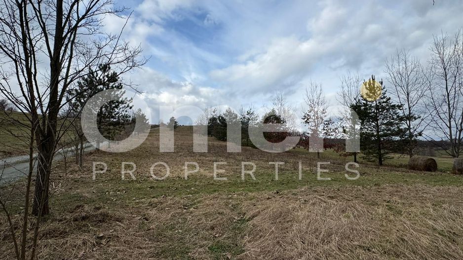 Teren de vânzare | 3423 mp | Copalnic | la drum principal - Poză 1