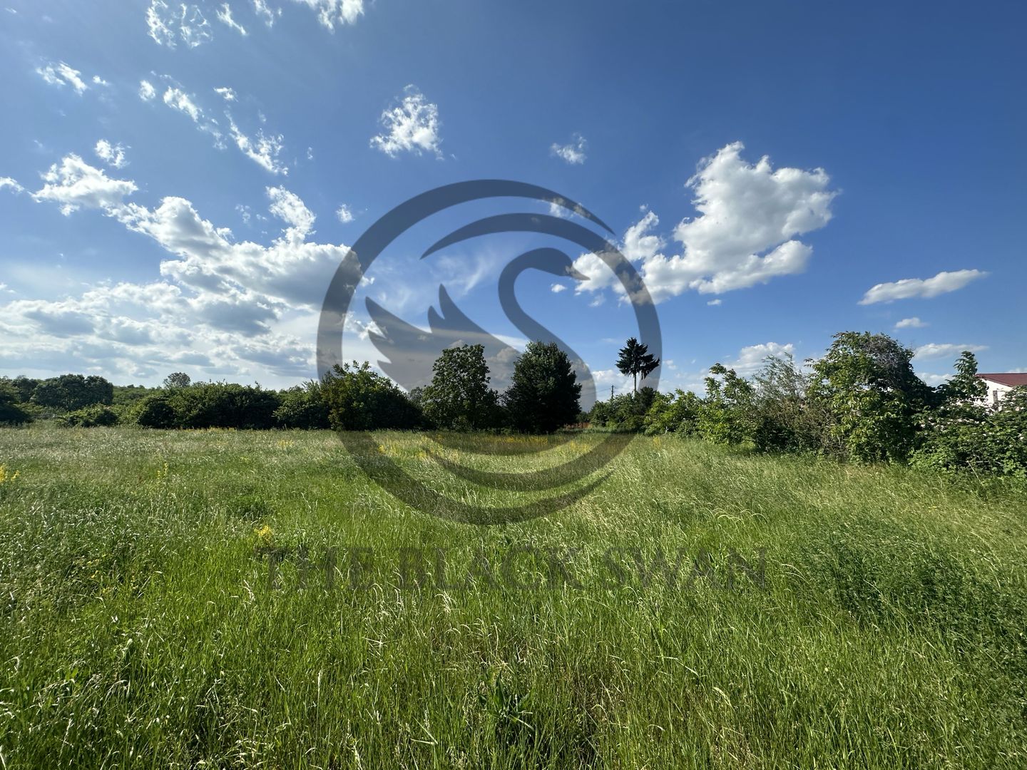 Teren Vanzare 11.000 MP Ghirdoveni | Comision 0% - Poză 2