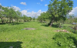Casa la tara in Rogoz, Bihor, teren 1427 mp, acces auto - Vanzare - Poză 7