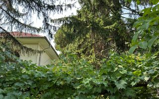 Casa si teren  - Zona Ultracentrala - Poză 7