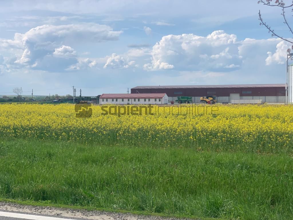 Sapient | Teren Agricol Intravilan zona Bors ,localitate Santau - Poză 1
