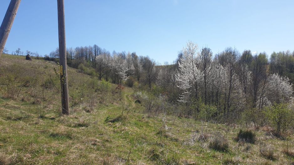 Teren cu panoramă fabuloasă, 10.059 mp, Roșia. 19.000 EUR. Comision 0 - Poză 2