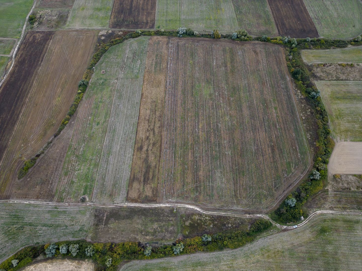 Teren agricol de 34.500mp în Albina, Județul Timiș - Poză 4