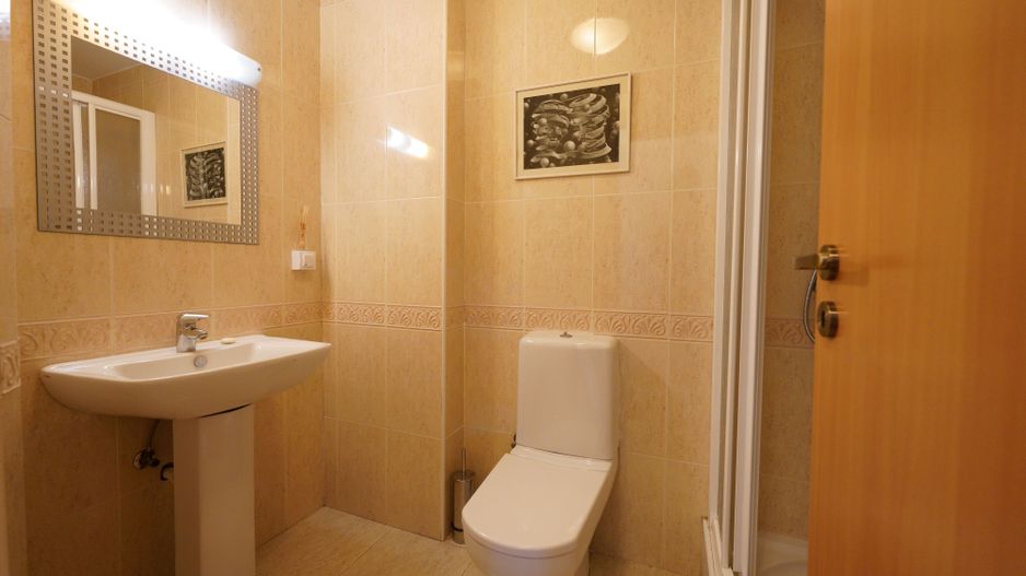 Panoramic View to Herastrau Lake, 5 rooms apartment - Poză 22