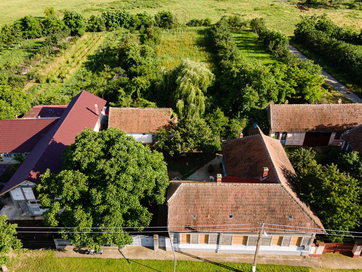 OFERTA VANDUTA  - Casa Izvin | 4 camere - 146 mp | Centrala gaz | Teren 3157 mp - Poză 3