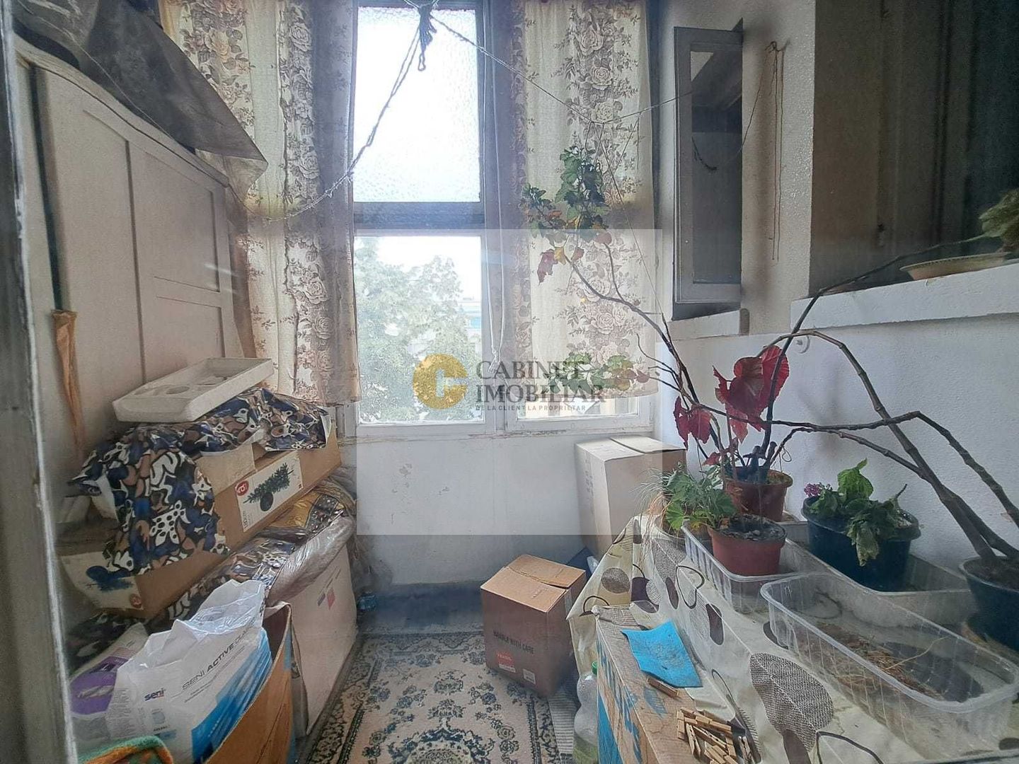 3 camere  |  Cismigiu  |  Oportunitate - Poză 5