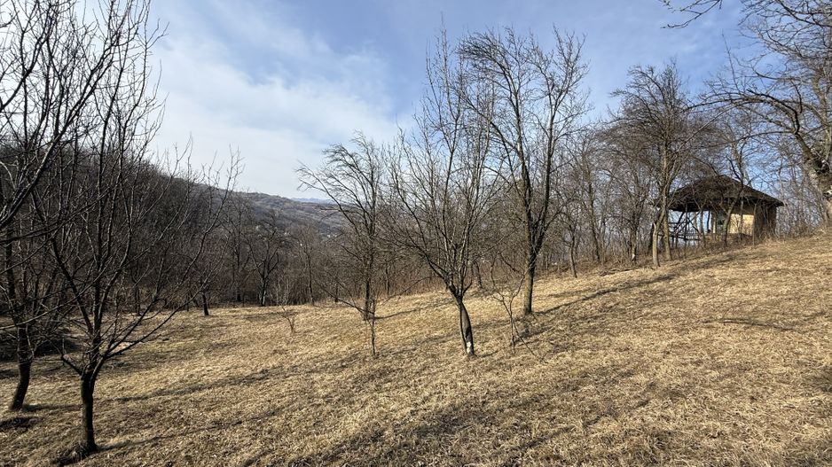 Teren intravilan 2788 mp deschidere 55 ml cu vedere panoramica ! - Poză 2