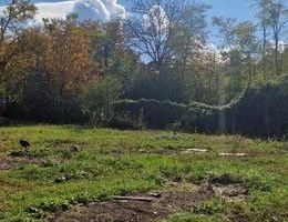 Teren intravilan 5000 mp cu front stradal 50 mp, zona Bucium, Iași - Poză 1
