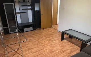 Apartament 3 camere de vanzare Gorjului - Poză 14