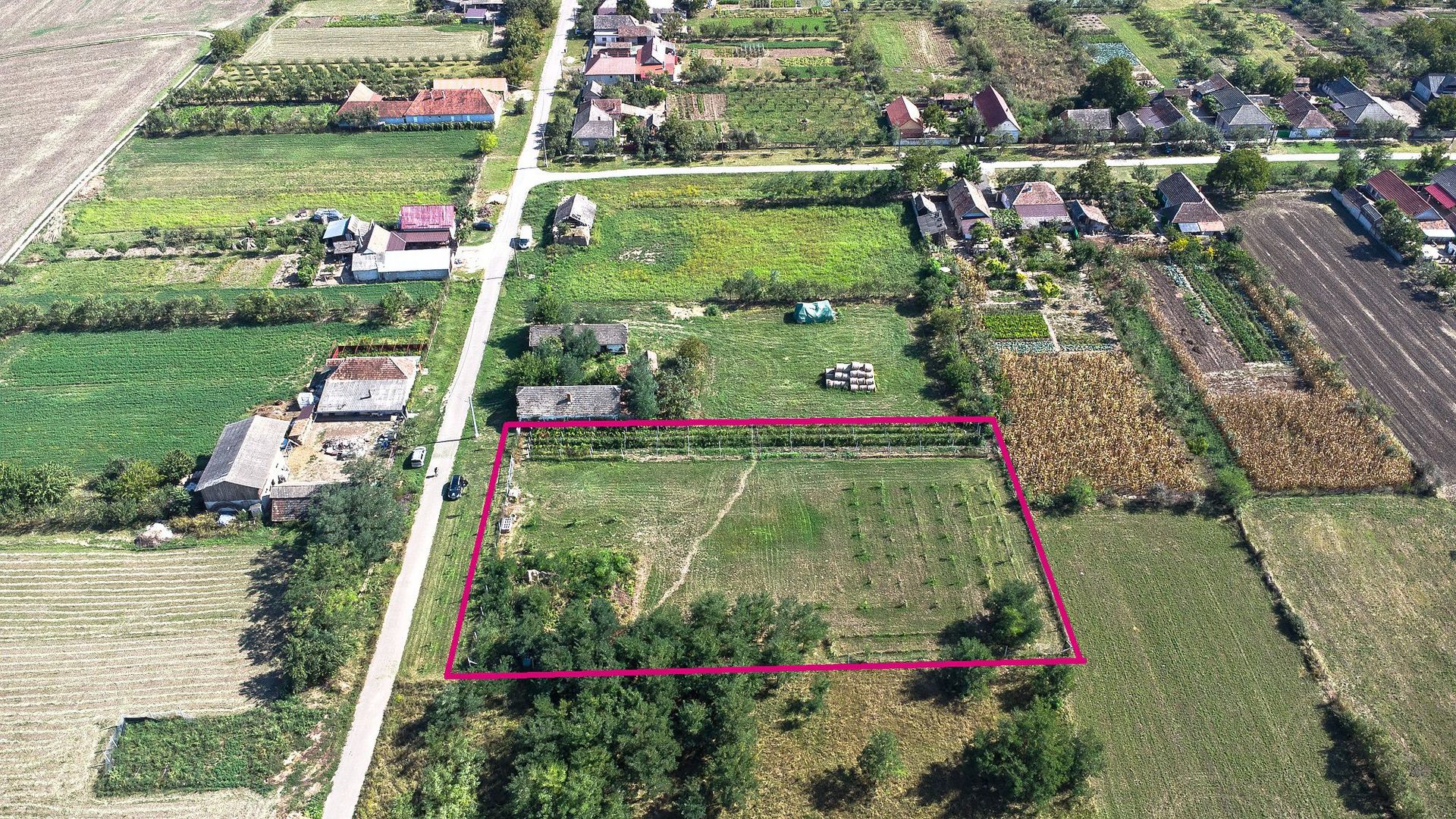 Pret redus Teren generos, intravilan in Șimand - Poză 1