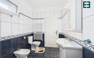 Proprietate industrială + Teren 8.632 - Voiteg - Județul Timiș - Poză 13