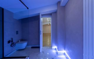 Spatiu 4 camere |  Birouri/Firma - Activitati Comerciale| Herastrau - Poză 6