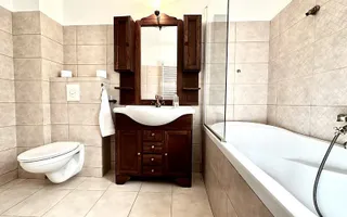 Închiriere casă cu grădină și șemineu în Timișoara – Stil și confort! - Poză 36