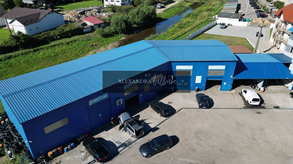 Oportunitate strategică de dezvoltare în Hațeg 3.079 mp - Poză 11