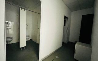 Spatiu pentru birouri in zona Take Ionescu - Poză 14