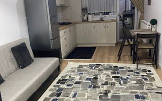 NOU  APARTAMENT 2 C OPEN SPACE BUCIUM VISAN - Poză 3
