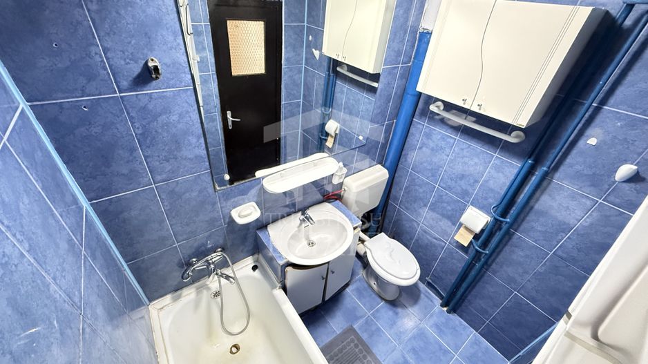 Apartament 2 Camere Teiul Doamnei Lacul Tei - Poză 14