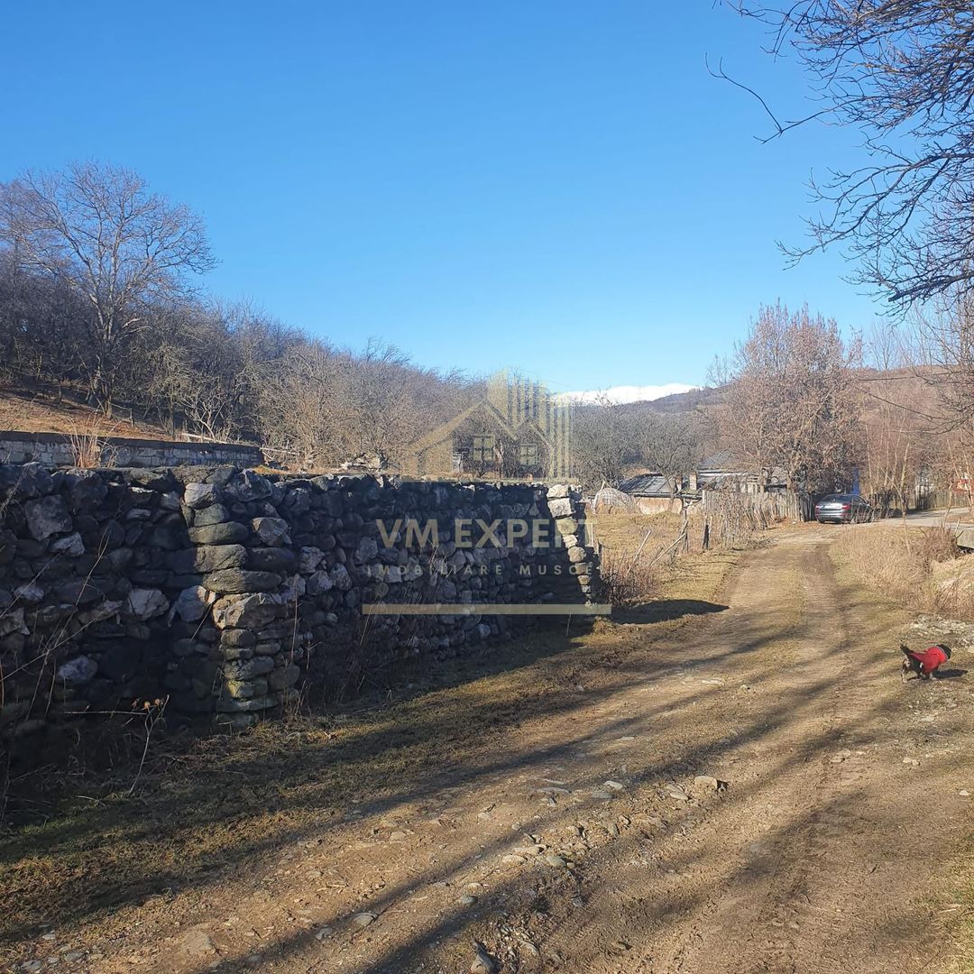TEREN INTRAVILAN 4614 MP, CAMPULUNG - VALEA ROMANESTILOR - Poză 3