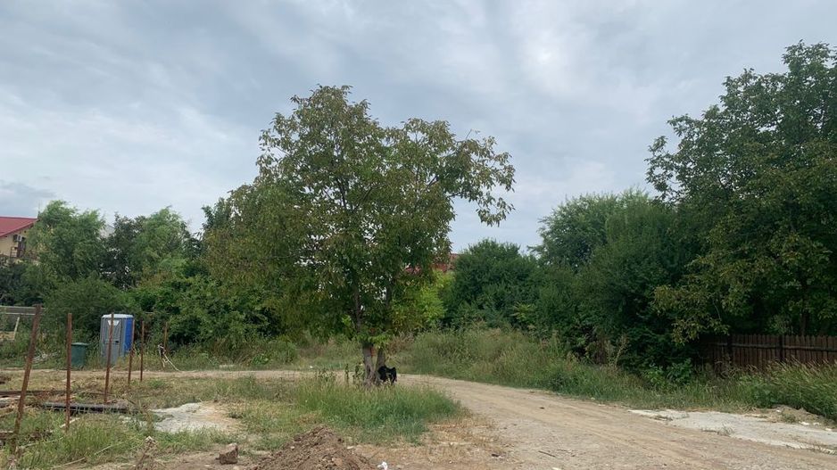 Teren 1975 mp dubla deschidere strada Neajlovului 24 ml si Scrovistea - Poză 4