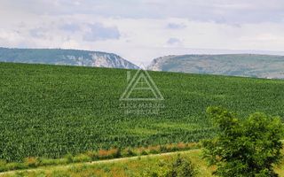 28.554 mp TEREN EXTRAVILAN, TURDA – SĂNDULEȘTI, jud. CLUJ - Poză 8