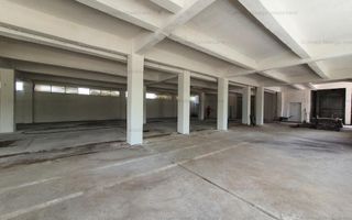 Hala Depozitare de Inchiriat Pitesti - Poză 7