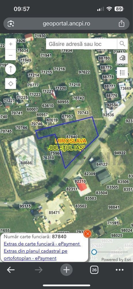 Teren intravilan MIROSLAVA 4.023 mp - Poză 1