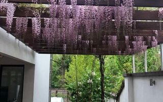 Chirie casa, 5 camere, sectorul Telecentru - Poză 3