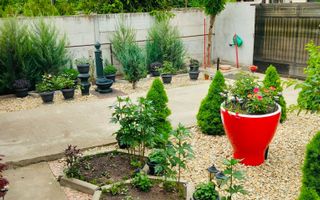 Parter cu structură pentru etaj, curte amenajată și organizare impeca - Poză 5